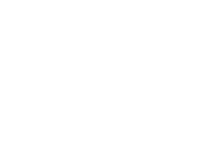 Der Trattner Hotel Trattnerhof Schöklblick Logo weiss